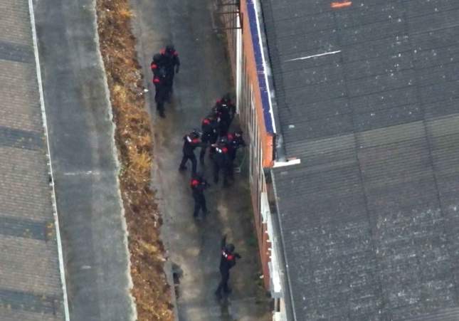 Desmantelada una mafia de la marihuana en el Baix Penedès: 20 detenidos y más de 3.600 plantas intervenidas