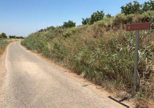 Detenido un menor de 17 años por atropellar mortalmente con un coche a un conductor de patinete en Torrefarrera y huir