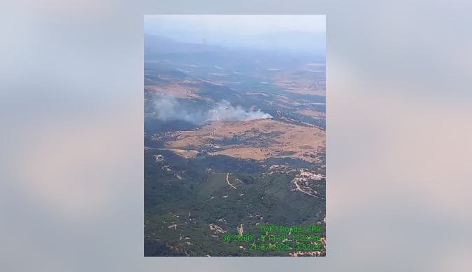 Declarado un incendio forestal en el paraje Parque Eólico Ignacio Molina de Casares (Málaga)