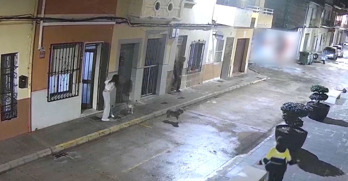 Un perro frustra el secuestro de su dueña en Polinyà de Xúquer (Valencia): cuatro detenidos