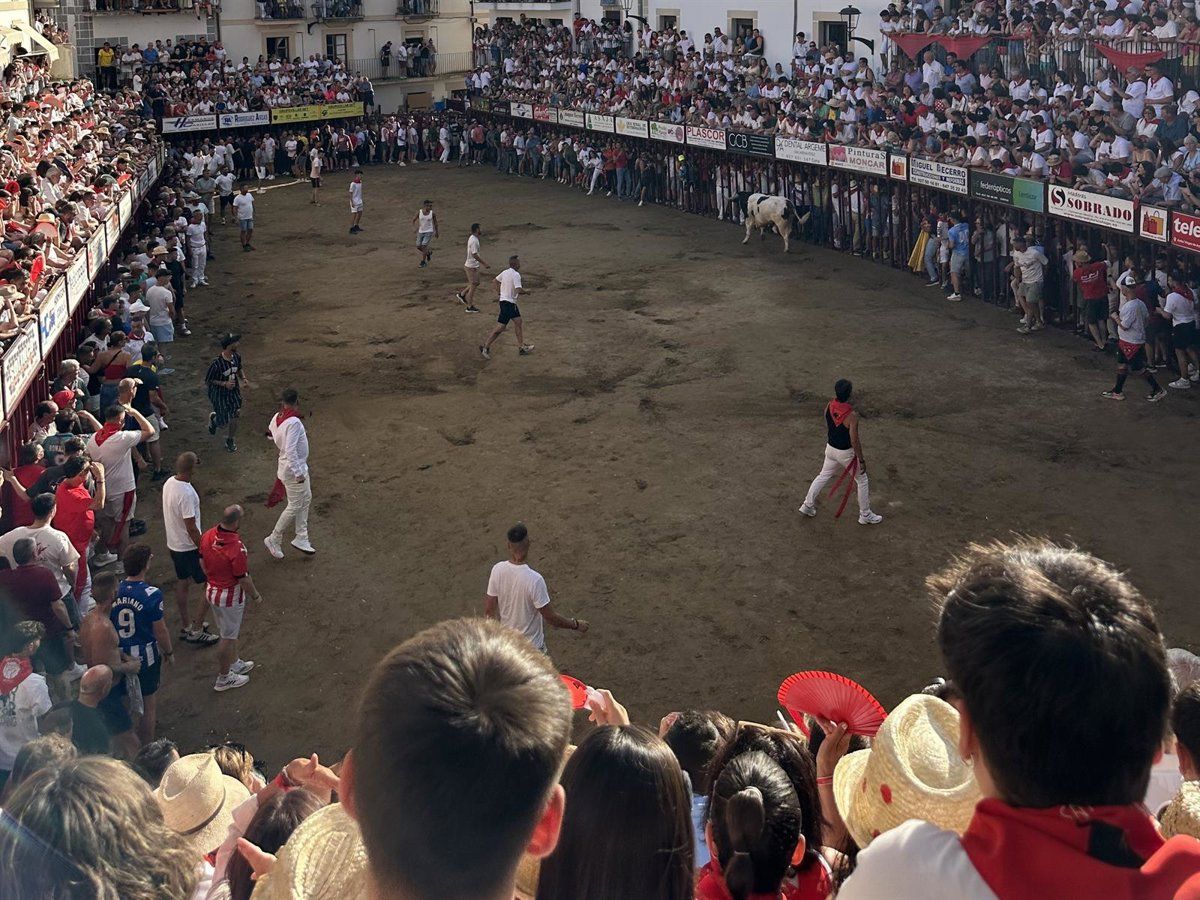 Herido grave por asta de toro en la Plaza de España de Coria