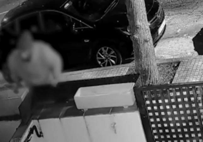 Detenido el ladrón que atemorizaba el Baix Penedès con 12 robos en viviendas tras una pelea en Tarragona