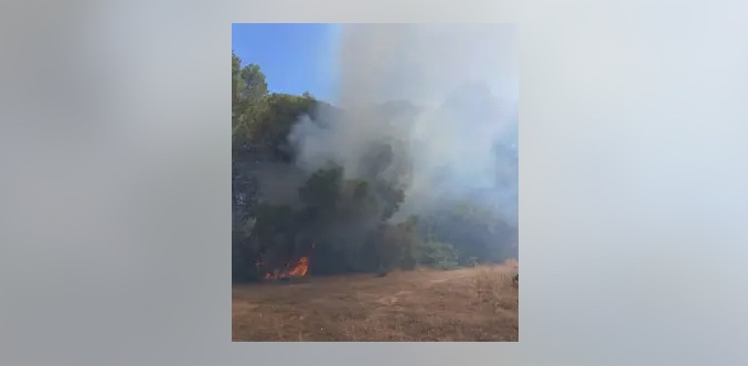 Controlado un incendio forestal en Sant Joan (Ibiza) tras quemarse un camión
