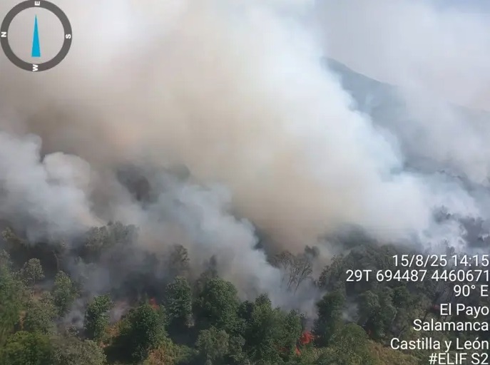 Declarados dos incendios en Salamanca: uno nuevo en Corral de Garcíñigo y baja a nivel 1 el de La Alberca
