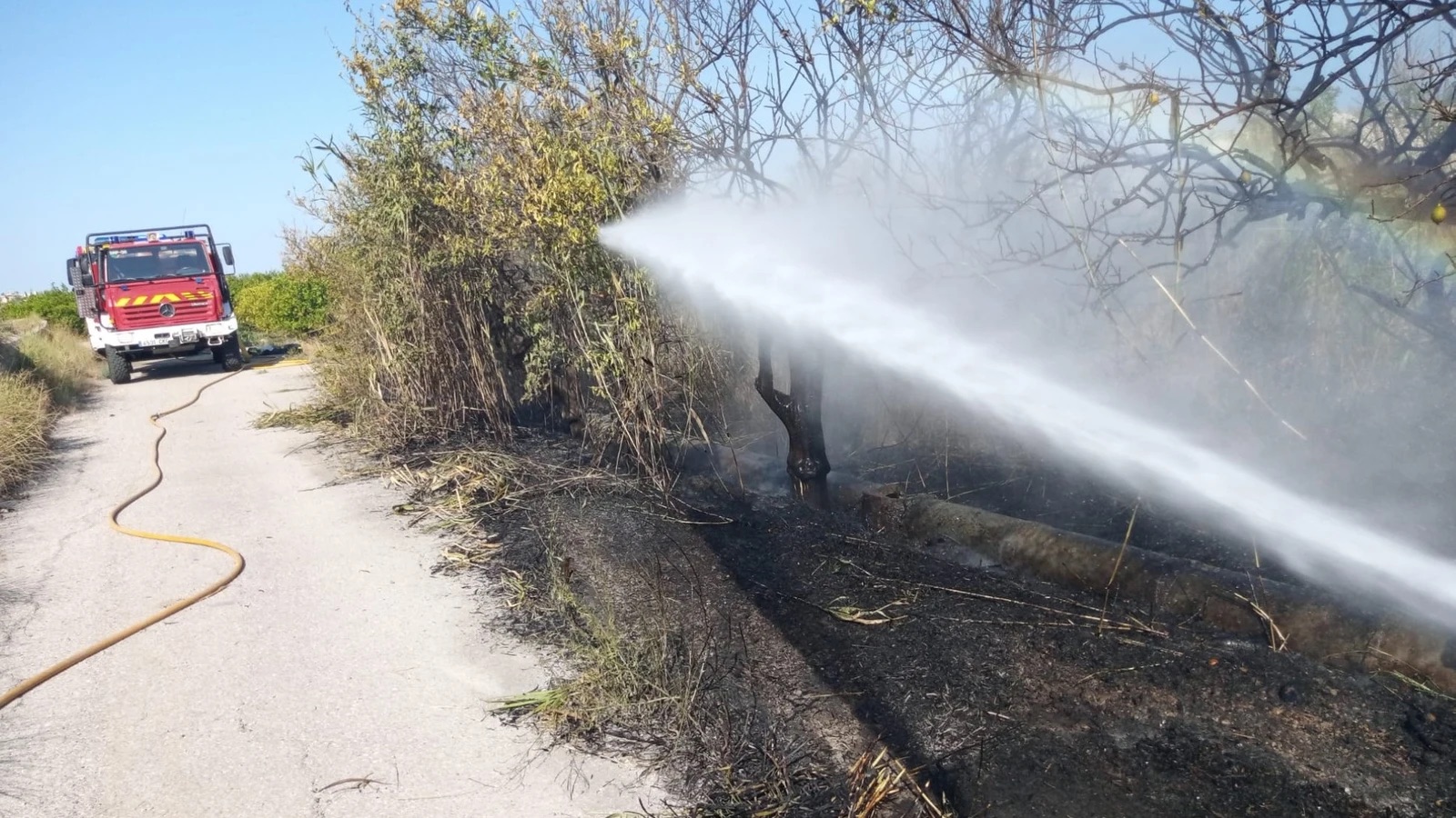 Sofocado un incendio declarado en una zona de huerta en Albudeite (Murcia)