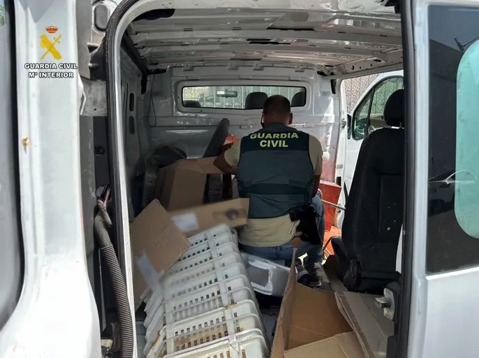 Cae por segunda vez en Ibi el presunto estafador de las furgonetas camperizadas