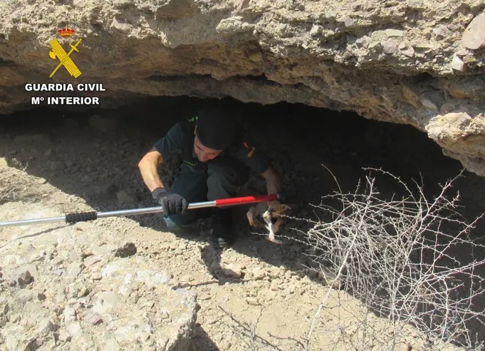 Rescatan a tres cachorros de galgo desnutridos en una cueva de Santomera (Murcia)