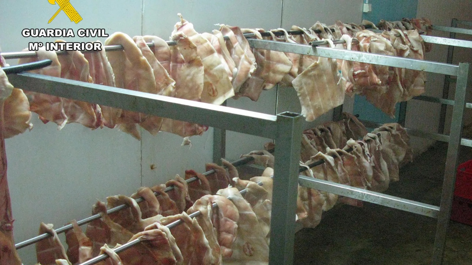 Clausuran un matadero clandestino en Hellín que elaboraba cárnicos en condiciones insalubres