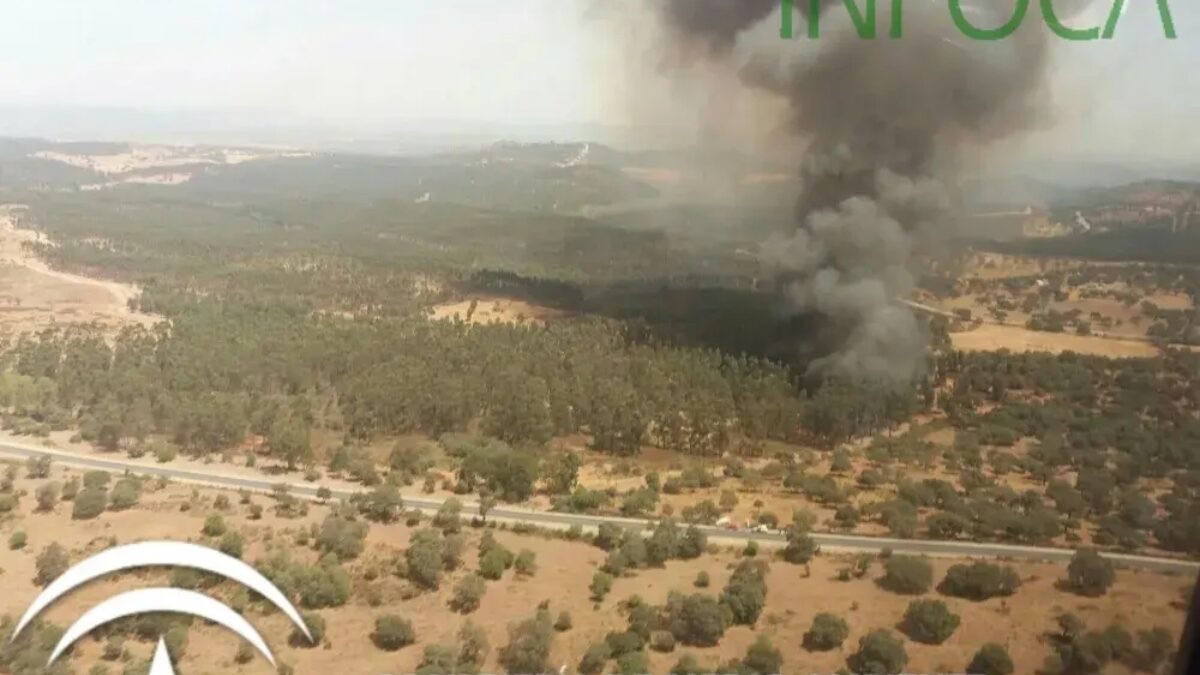 Activada la fase de emergencia por un incendio forestal en Zalamea la Real (Huelva)