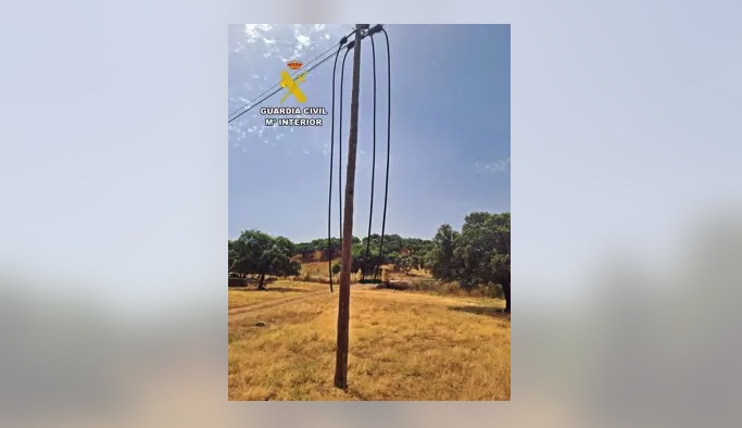 Dos detenidos por el robo de 85 corderos y 8.400 metros de cable de cobre en Toledo y Badajoz