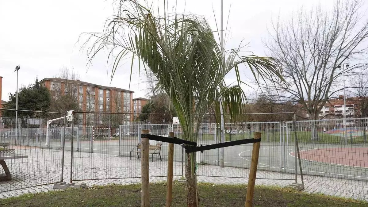 Detenido un joven de 19 años en Gijón por causar la muerte de un hombre de 51