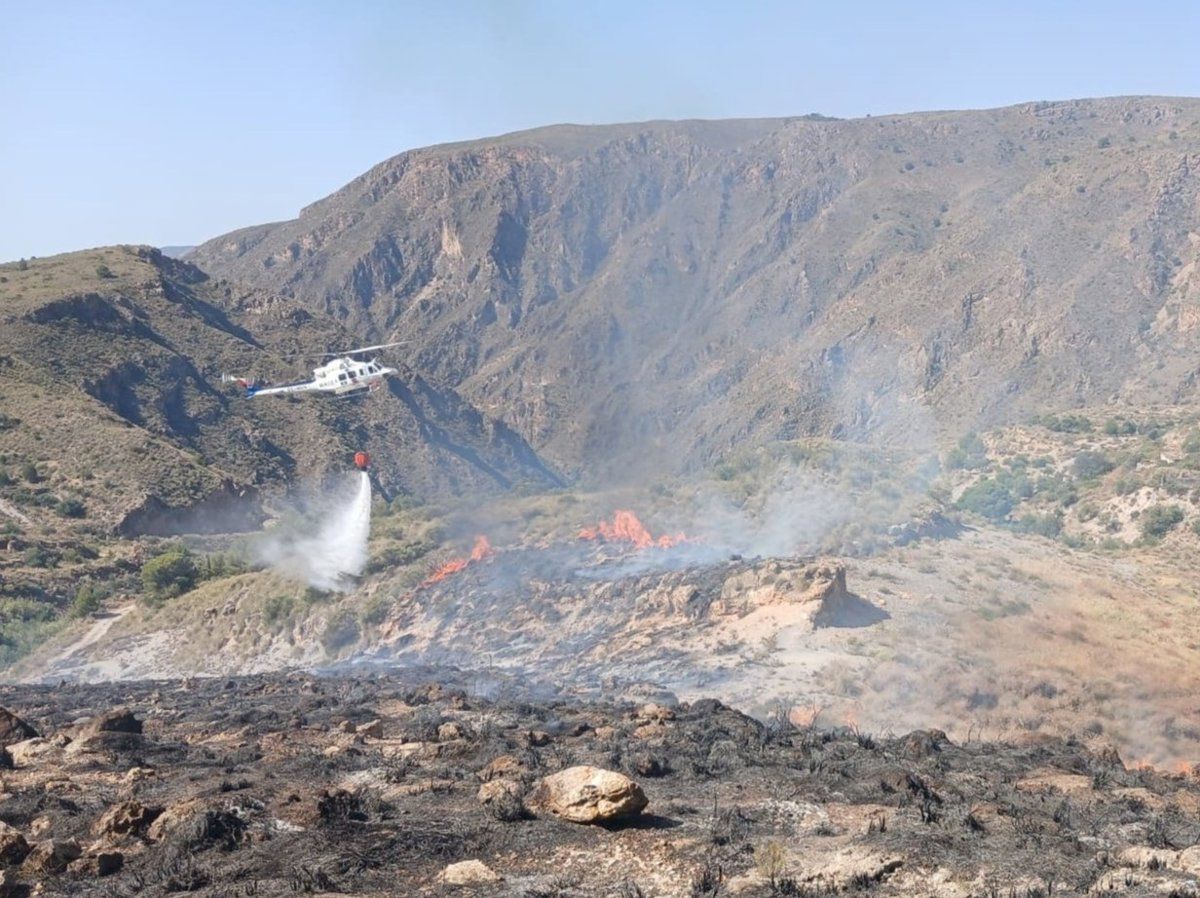 Incendio forestal en Berja (Almería)